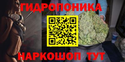 мяу мяу мука Сланцы