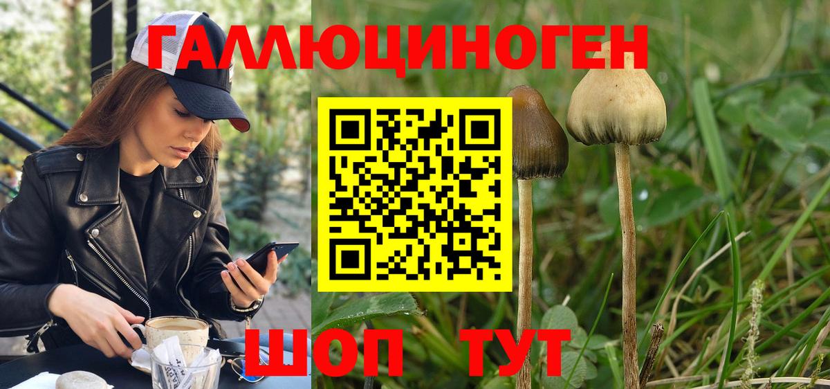 Псилоцибиновые грибы Magic Shrooms Симферополь